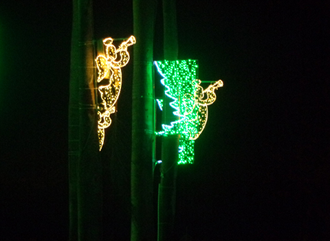 阿鲁巴城市照明案例