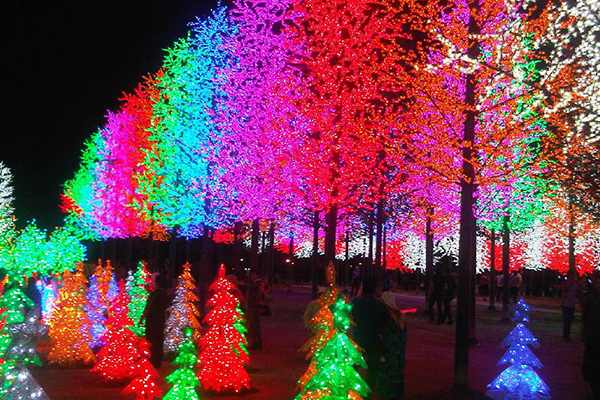 武汉直销霓虹灯定制