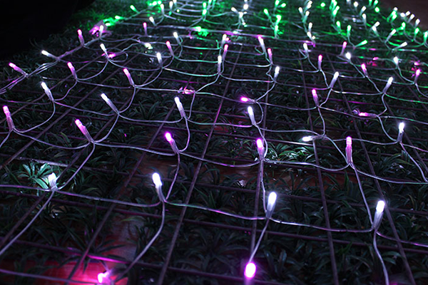 内蒙古专业家庭软装灯价格