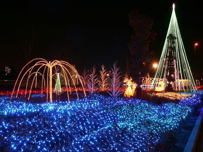 led节日装饰灯